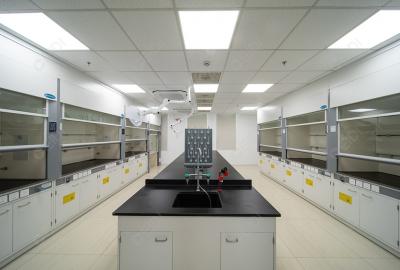 GE醫(yī)療將在第六屆進博會上展示全球首個基于分子影像技術的胰腺癌精準診治解決方案