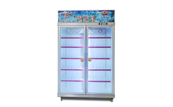 一體式兩門冰柜