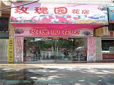南京【玫瑰園花店】定制款鮮花風幕柜