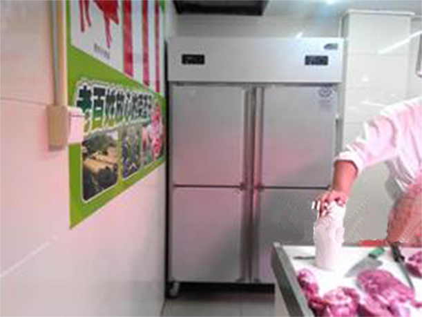 廚房兩門立式不銹鋼門冷柜