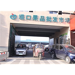 阿克蘇【堤口果品批發市場】購置定制款冷庫