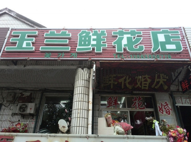 安慶【玉蘭鮮花店】購置鮮花風幕柜