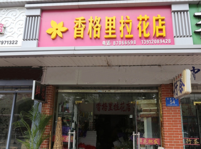 淮安【香格里拉】花店購(gòu)置鮮花風(fēng)幕柜